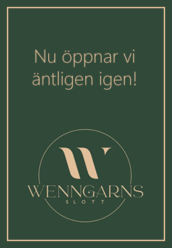 wenngarn_outsider