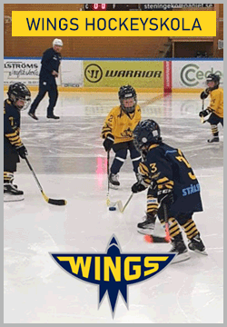 hockeyskola_outsider