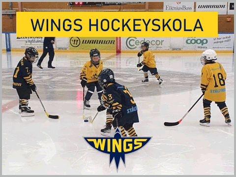hockeyskola_helsida